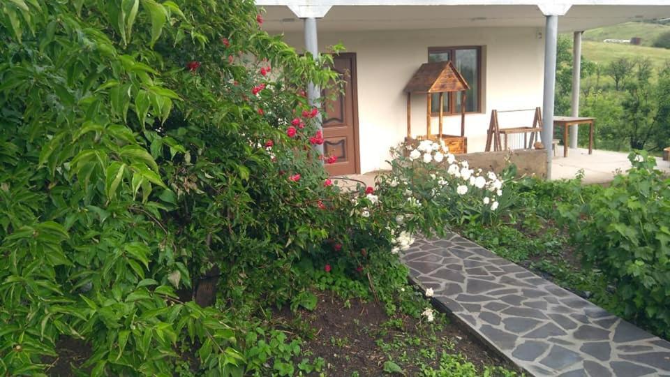 Amoj B&B And Guest House Alaverdi Luaran gambar
